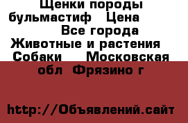 Щенки породы бульмастиф › Цена ­ 25 000 - Все города Животные и растения » Собаки   . Московская обл.,Фрязино г.